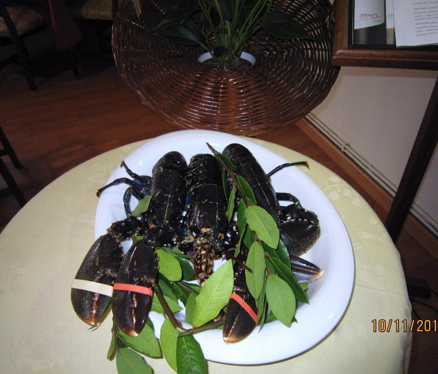 Hotel Santo Apostol 雷东德拉 外观 照片